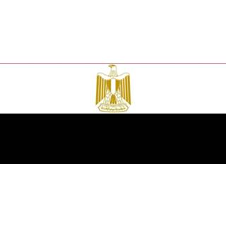 👉 Vlag active Egypte 200x300cm - Glanspoly 7424956049051