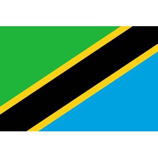 👉 Tafelvlag Tafelvlaggen Tanzania | Tanzaniaans tafel vlaggetje 10x15cm kopen bij Vlaggenclub 7430439298236