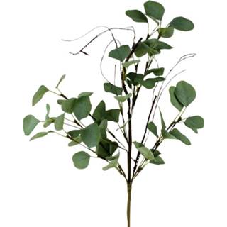 👉 Kunstbloem groen polyester active Eucalyptus 60 cm 4030673477287