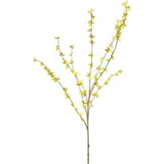 👉 Forsythia geel active 1m 7442954875885