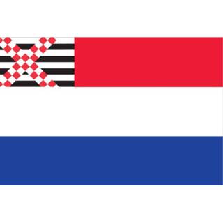 👉 Vlag active Nederland met inzet Loosdrechtse 80x120cm 7435127523577