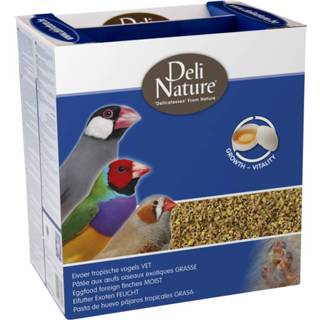 👉 Eivoer active 4x Deli Nature Tropische Vogels Vet 1 kg 5411860808715