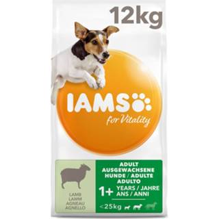 👉 Small medium active Iams Dog Adult - Lam 12 kg 8710255154015