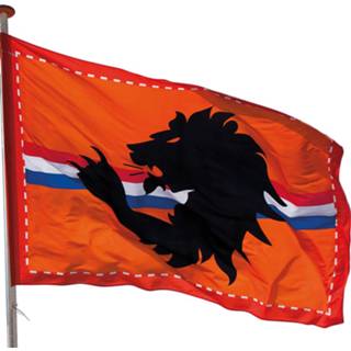 👉 Vlag oranje 2x Mega Holland stadion met leeuw 300x200 cm - straatversiering