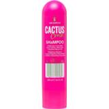 👉 Lee Stafford Cactus Crush Succulent Shampoo 250ml