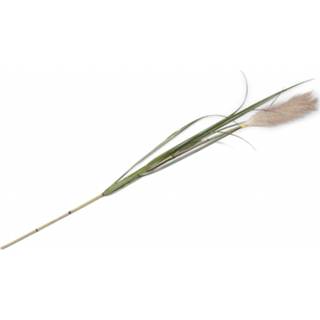 👉 Kunstplant groen Pampus grass 120 cm. 8719911316606