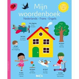 👉 Woordenboek Mijn - Nederlands, Frans, Engels (ISBN: 9789403222387) 9789403222387