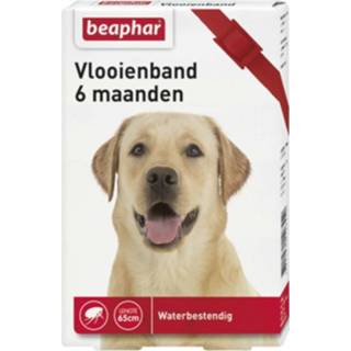 👉 Beaphar Vlooienband Hond Rood