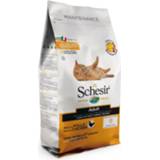 👉 Kattenvoer active 6x Schesir Dry Maintenance Kip 1,5 kg 8005852767523