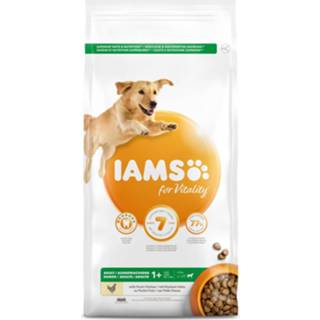 👉 Large active 3x Iams Dog Adult Kip 3 kg 8710255128023