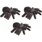 👉 Spinnen knuffel pluche active 3x stuks tarantula knuffels 16 cm