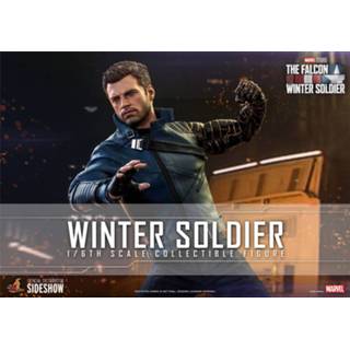 👉 Hot Toys The Falcon and Winter Soldier Action Figure 1/6 30 cm 4895228607676