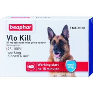 👉 Active Beaphar Vlo Kill + Grote Hond 6 Tab 8711231126484