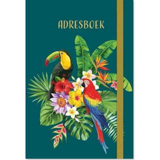 👉 Adresboek active Tropical Birds - A6 9789044758009