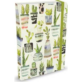 👉 Notitieboek active Peter Pauper Watercolor Succulents A5 9781441326737