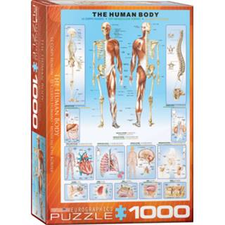 👉 Puzzel engels legpuzzels The Human Body (1000 stukjes) 628136610001
