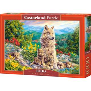 👉 Puzzel legpuzzels New Generation (1000 stukjes) 5904438104420