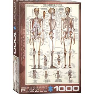 👉 Puzzel active The Skeletal System - (1000) 628136639705