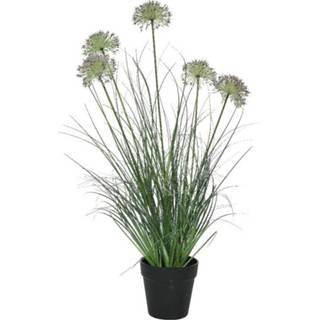 👉 Kunst plant active zwarte paarse groene Groene/paarse Allium sierui kunstplanten 75 cm met pot