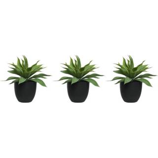 👉 Kunstplant zwarte groene active 3x agave kunstplanten 44 cm met pot