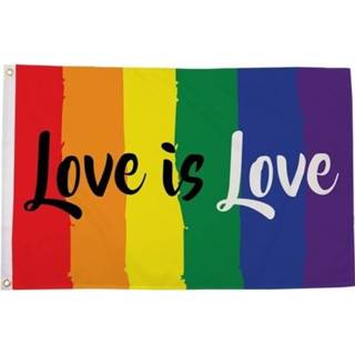 👉 Vlag active LGBT in regenboogkleuren 90 x 150 cm Love is verticaal