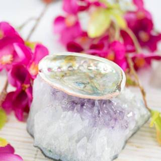 👉 Abalone schelp klein - 50 tot 70 mm 7141262564909