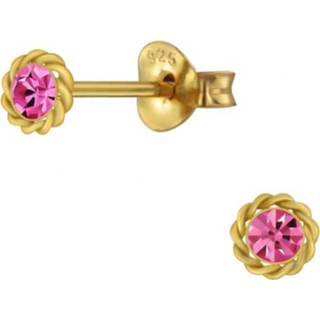 👉 Oorknop goudkleurig roze zilver active Oorknoppen van met Zirkonia 8720254441825