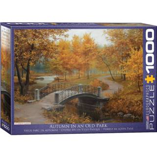 👉 Puzzel active Autumn in an Old Park - (1000) 628136609791