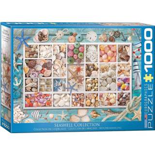👉 Puzzel schelp active Seashell Collection - (1000) 628136655293