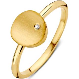👉 Zirkonia active Excellent Jewelry Geelgouden Ring met Mat Plaatje