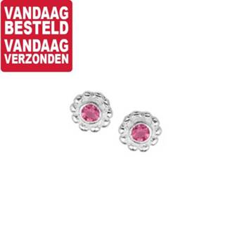 👉 Oorknop paarse zilver active Strass Oorknoppen van