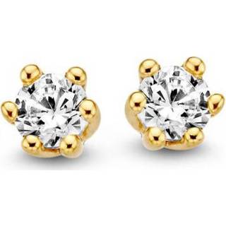 👉 Oorsteker gouden active Excellent Jewelry Basic Oorstekers met Zirkonia 8785259692597