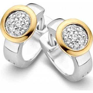 👉 Zirkonia zilveren gouden active Excellent Jewelry Creolen met Kopstuk en 8785259694348