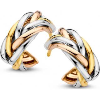 👉 Oorsteker geelgoud witgoud active Excellent Jewelry Gevlochten Oorstekers van / Roségoud 8785259696083