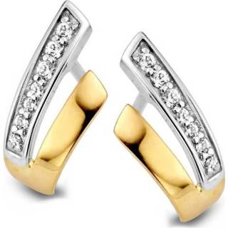 👉 Oorsteker bicolor active Excellent Jewelry V-vormige Oorstekers met Zirkonia?s 8785259694232