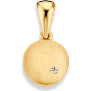 👉 Hanger active Excellent Jewelry Geelgouden Gematteerde met Zirkonia 8785259692146