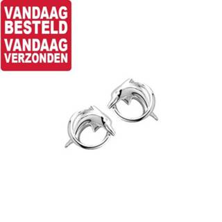 👉 Oorknop zilver active Dolfijn in Ring Oorknoppen van