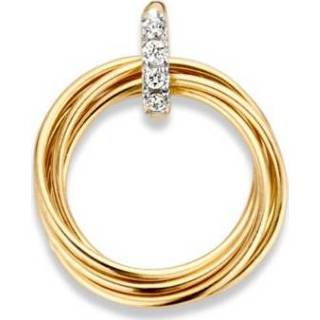 👉 Ronde hanger geelgoud active Excellent Jewelry van met Zirkonia?s 8785259691965