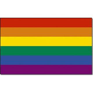 👉 Regenboog vlaggen