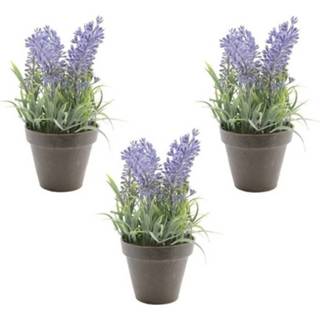 👉 3x Groene Lavandula lavendel kunstplanten 17 cm met zwarte pot