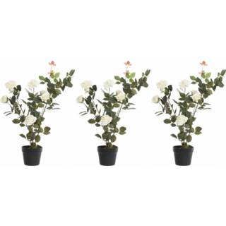 👉 Rozen struik active witte zwarte groene 3x Groene/witte Rosa rozenstruik kunstplanten 80 cm met pot