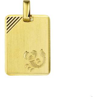 👉 Hanger geelgoud active Dog Tag Sterrenbeeld Schorpioen van
