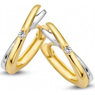 👉 Zirkonia witgouden active Excellent Jewelry Geelgouden Creolen met Element en 8785259693754