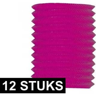 👉 Active roze 12x treklampion 20 cm