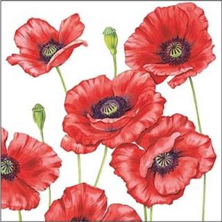 👉 Servet 100x Klaprozen/poppy bloemen voorjaar servetten 33 x cm