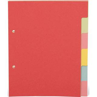 👉 Tabblad pastelkleuren karton Pergamy tabbladen ft A5, 2-gaatsperforatie, karton, geassorteerde pastelkleuren, 6 tabs 8435506931282