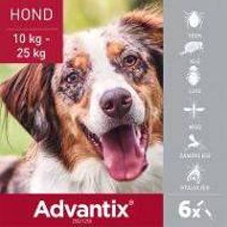 👉 Pipet Advantix 250/1250 Spot-On Solution Honden 10-25kg 6 Pipetten x 2,5ml 4007221048107 4007221048084