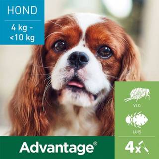 👉 Pipet 2 x 4 Pipetten AdvantageÂ® 100 voor honden van kg tot minder dan 10 - Dubbelpak 4007221047391