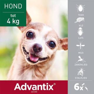 👉 Pipet AdvantixÂ 40/200 Spot-on Solution voor honden 4 Pipetten x 0,4ml 4007221048138