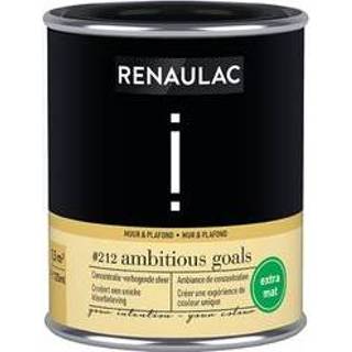👉 Plafondverf male Renaulac muur- en Intention Ambitious Goal extra mat 125ml 4004014900536